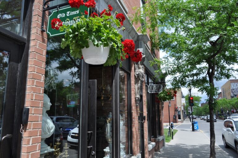 2214 84a31e195e39 768x510