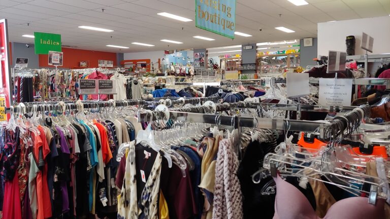 2462 d32ff783c45a 768x432