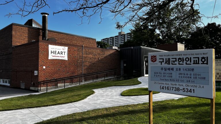 2614 e09a54dca6cf 768x432