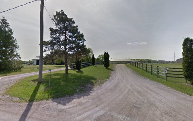 2929 bf7d967be7c9 768x480