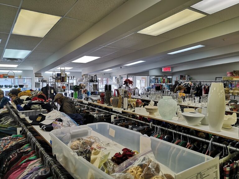 3115 9ab62f74da61 768x576