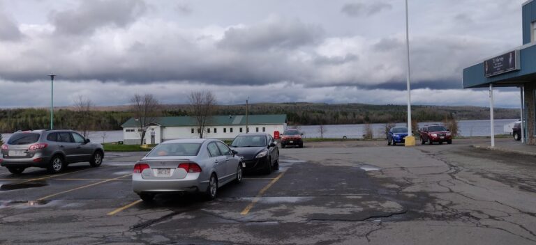 3281 0237a486bda4 768x352