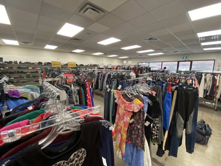 3611 882d3e6c8d81 768x576