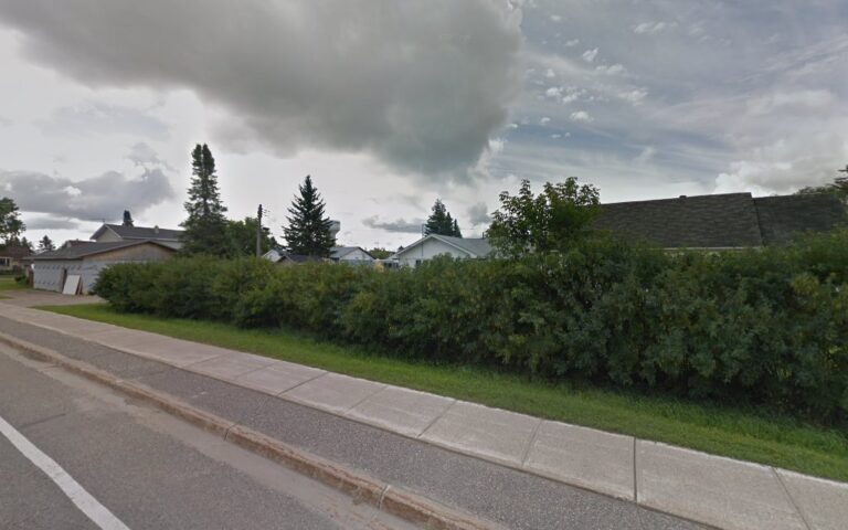 3623 c0bda09a5d5b 768x480