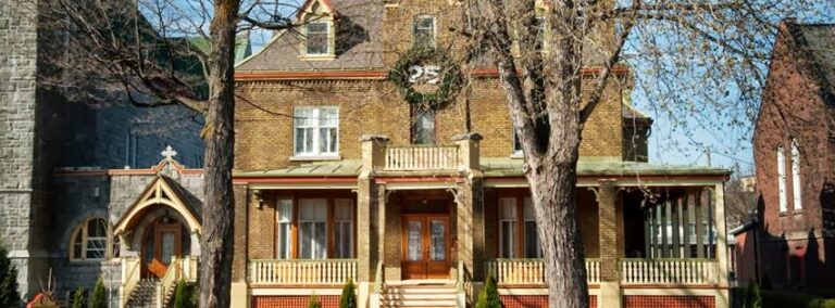 3641 d527de6fbc9d 768x284