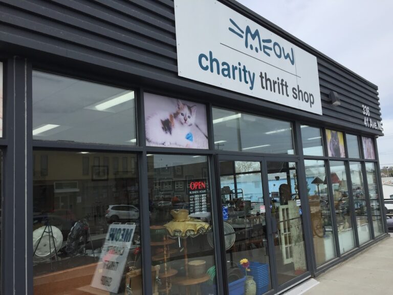 3999 090eafb4d3a5 768x576