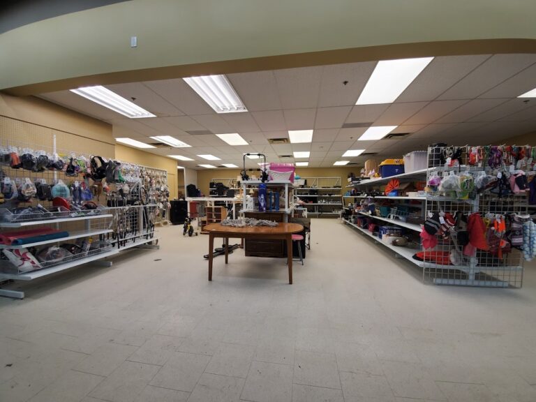 4037 c337d97efe3c 768x576