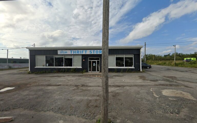 4141 103ad928446c 768x480