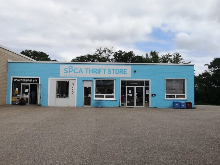 4337 e759c52c2ff2 768x576