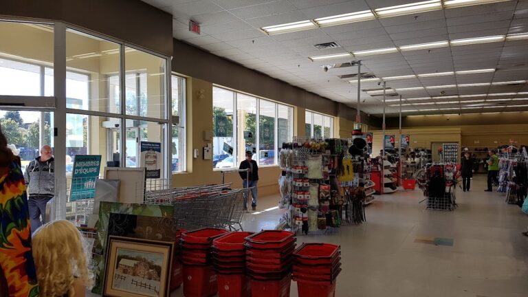 4464 02ce6835a1b4 768x432