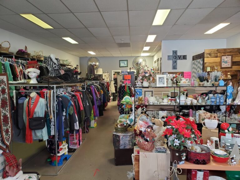 4512 fb1ed2cb4a6d 768x576