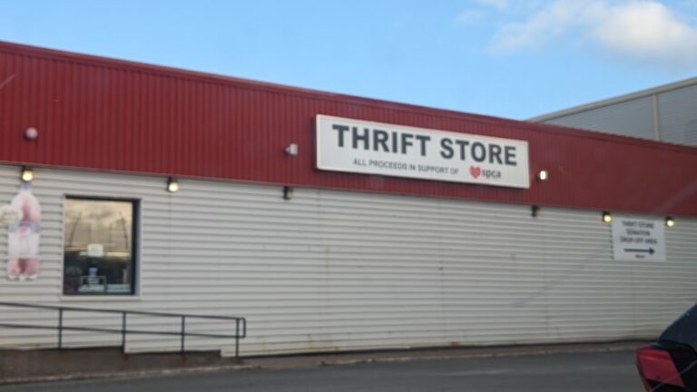 4596 298af6f36c69 768x432