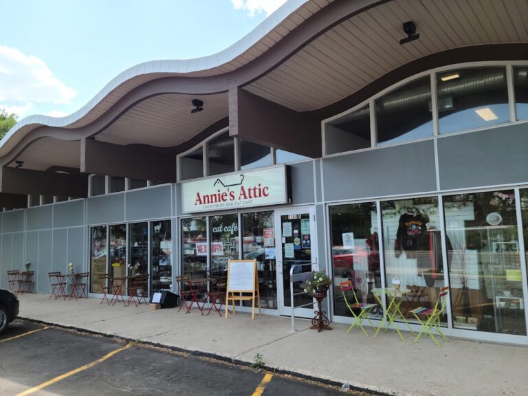 4792 55b171c24522 768x576