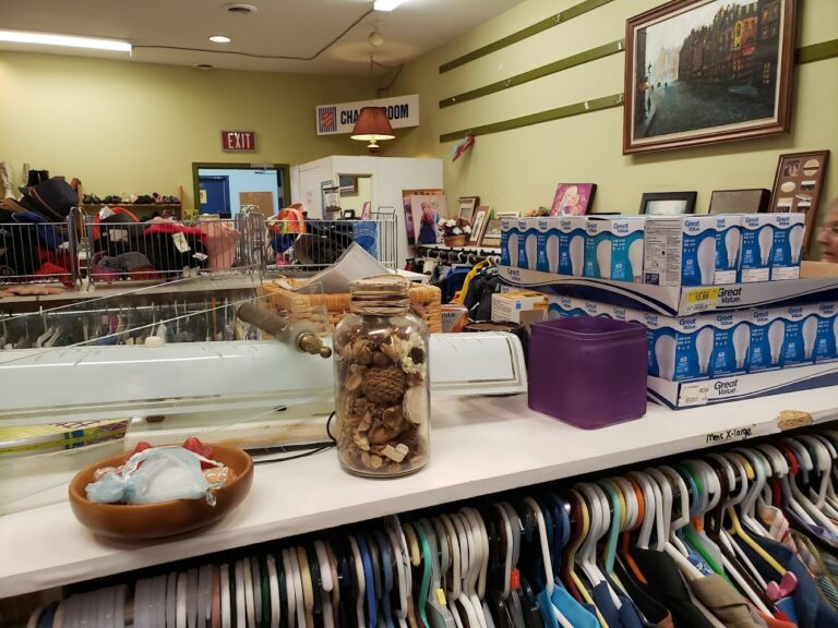 4979 f2d7f9b1b2b4 768x576