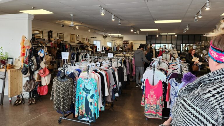 5013 f533f4c78fac 768x432