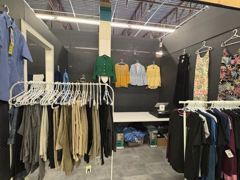 5029 758e5a6ea19b 768x576