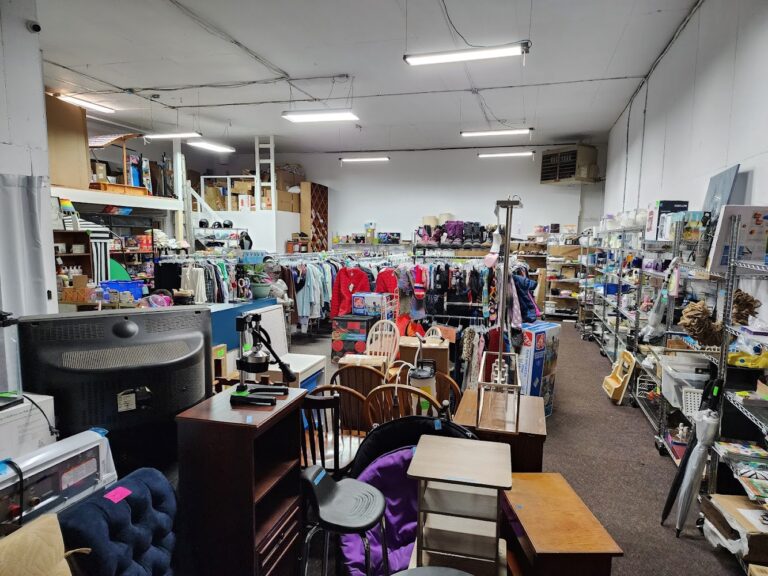 5184 3443e3f18d31 768x576