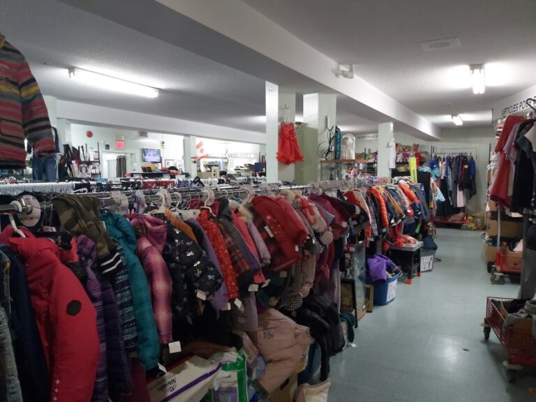 5798 46a3b09a5b4f 768x576