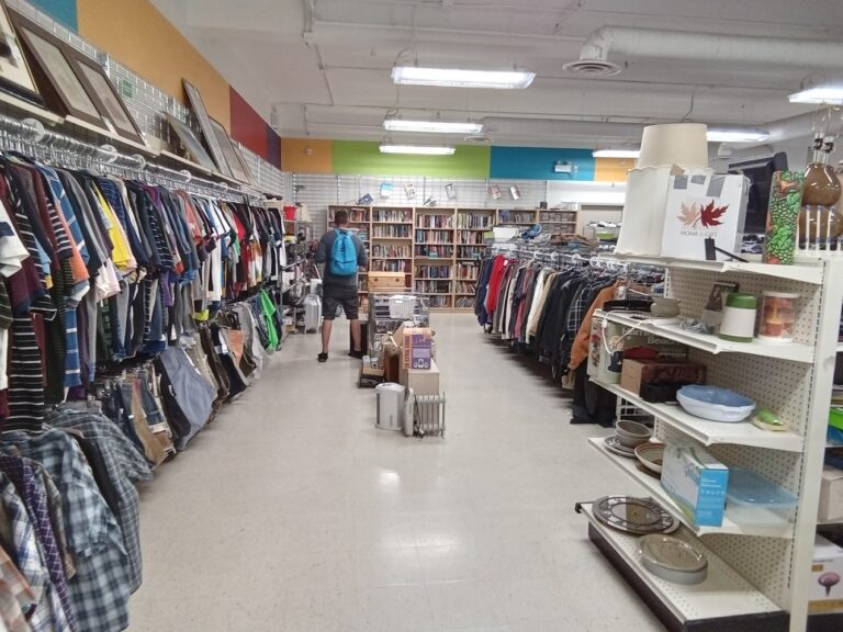 5896 8e31a4bf3a8c 768x576