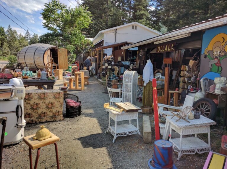 6022 4f7434e29622 768x570