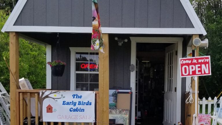 6362 c8150dd14080 768x432