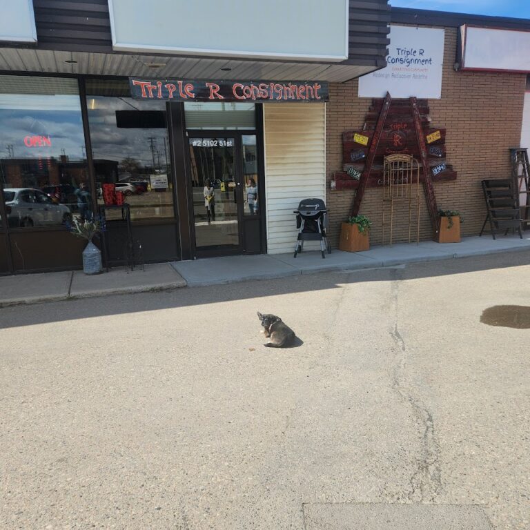 6484 6b5aecd03f64 768x768