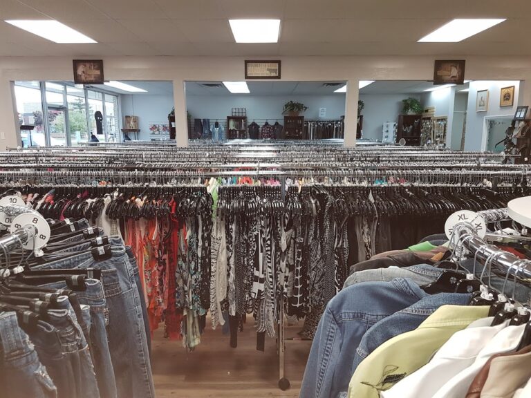 6698 8b3c87d9614b 768x576