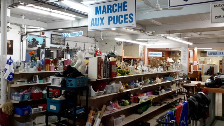 7018 3613b4e90d83 768x432