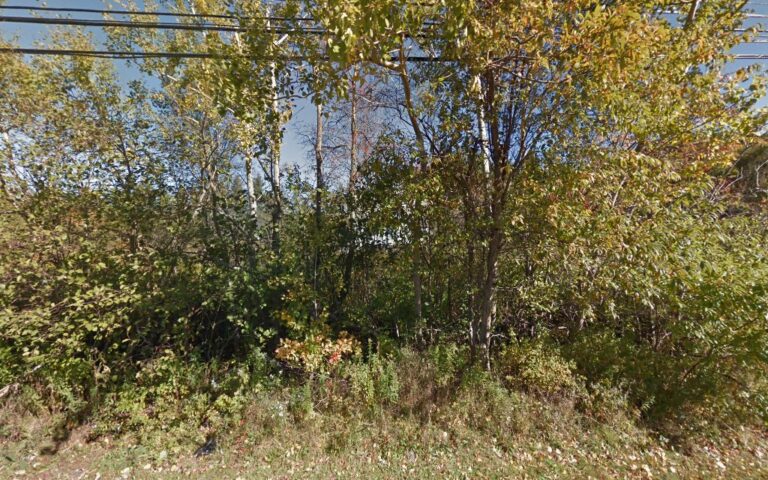 7120 34d36c05ae9a 768x480