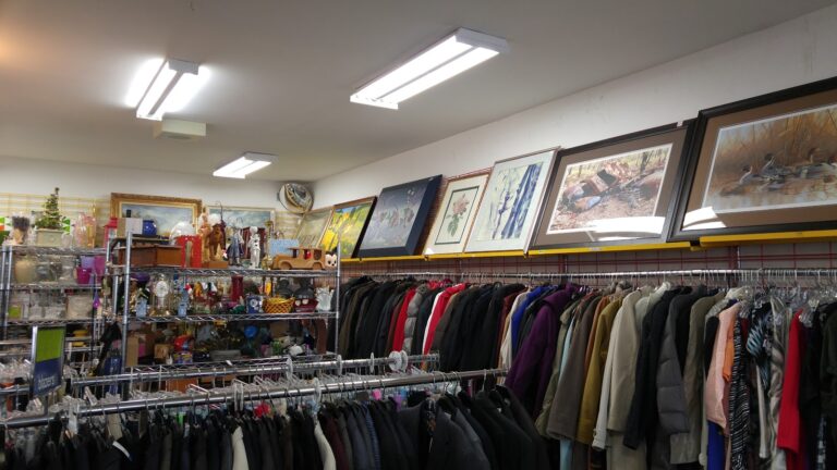 7130 693a62751bb3 768x432