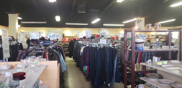 7226 c07d50a69bee 768x373