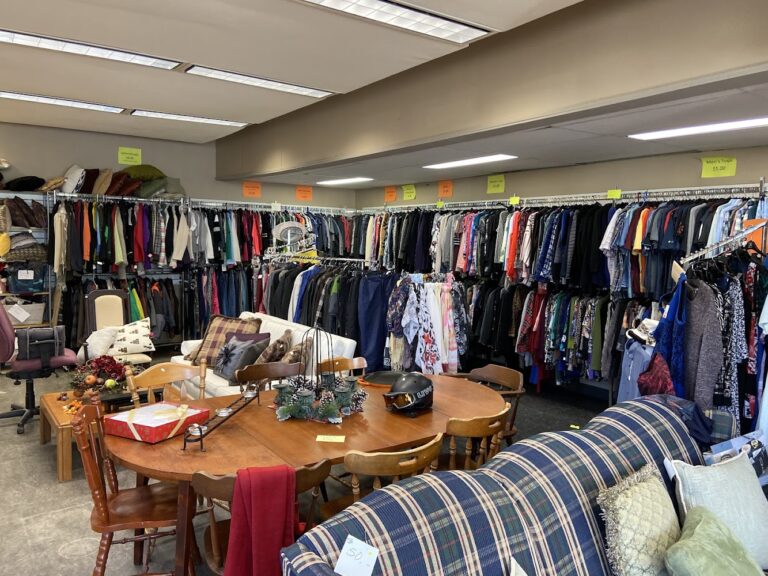 7256 883ef31c0bdc 768x576