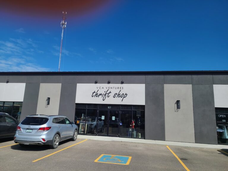 7280 03a69bc5fa9e 768x576