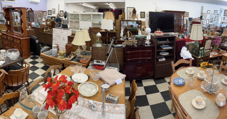 7332 a5e090a1c925 768x402