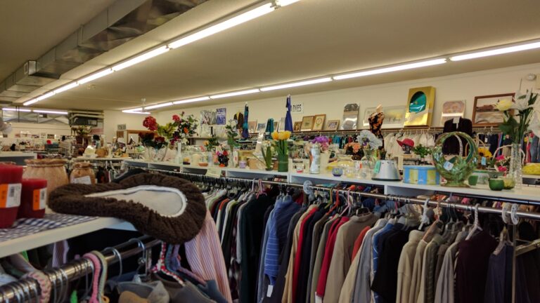 7458 a7523e3703b8 768x432