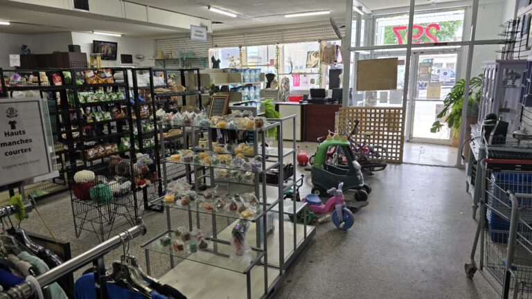 7577 26f77f288d01 768x432