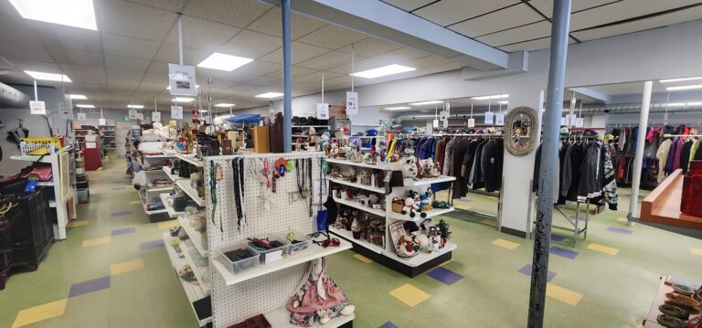 7607 249b106f005c 768x359