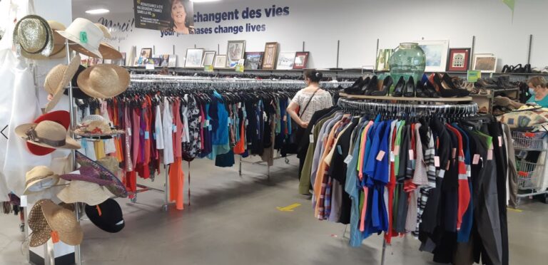 7637 bfd50b887927 768x372