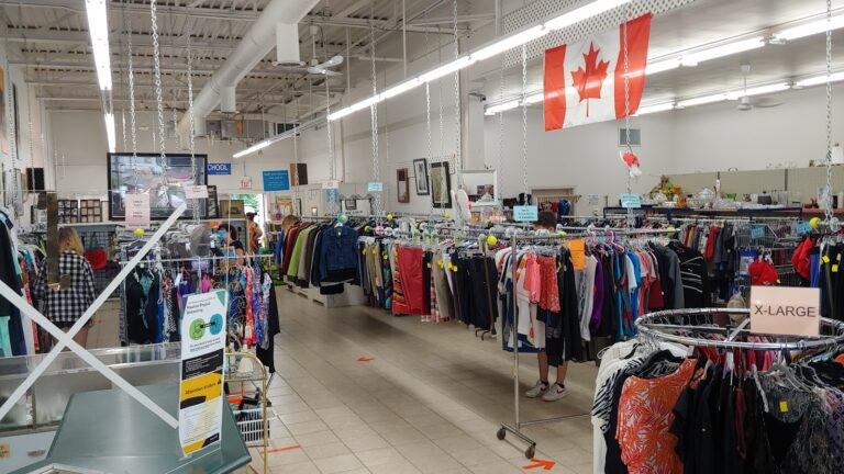 7775 38a6a247169a 768x432