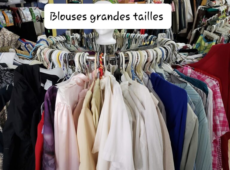 7853 4a72f588d85d 768x569