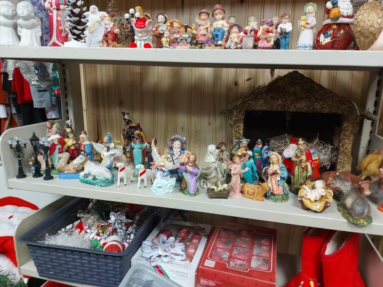 7988 9731b3bb2a7f 768x576