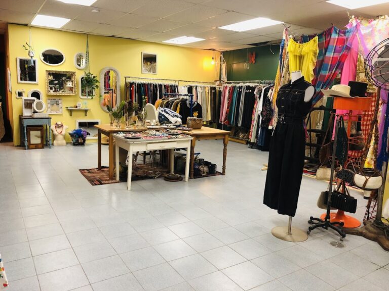 8207 8e20b967f6bb 768x576