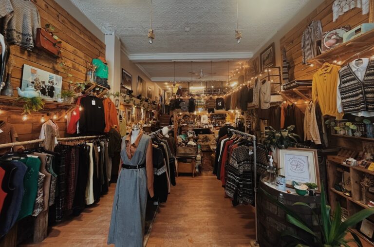 8235 95e1e8f61656 768x507