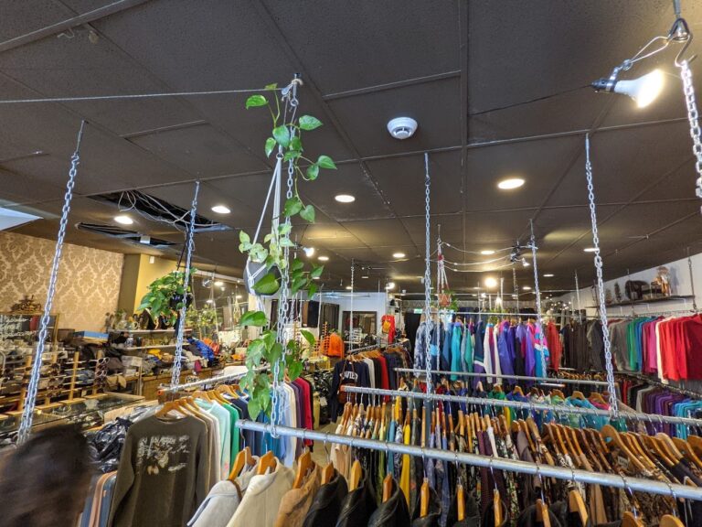 8533 d05a5ee810dd 768x576